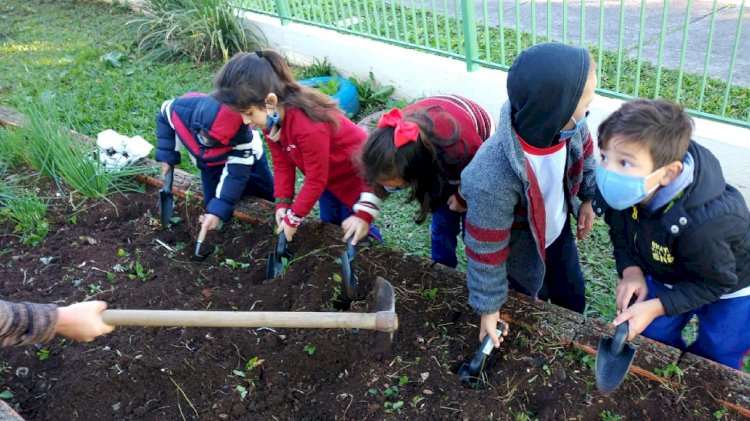 Alunos da Escola Padre Carlos Wecki plantam hortaliças em projeto ‘Assim é Mais Gostoso de Aprender’