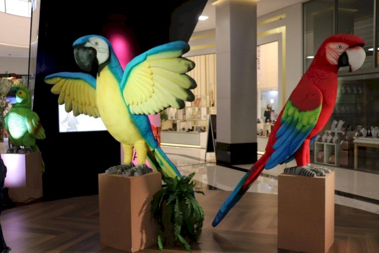 Museu de Zoologia da Unesc abre exposição em Araranguá