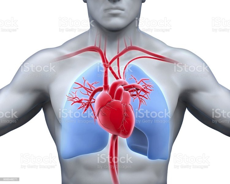 Eletrocardiograma: um aliado no diagnóstico das doenças cardíacas