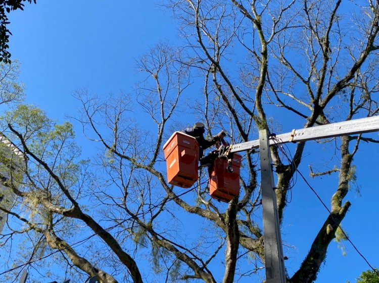 Com alerta de frio e ventos intensos, Governo de Criciúma delibera ações preventivas