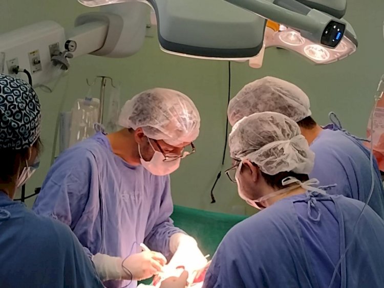 Hospital São José realiza 12ª captação de órgãos do ano