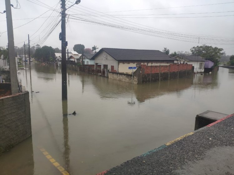 Chuva causa inundações de residências e cachorro morre afogado