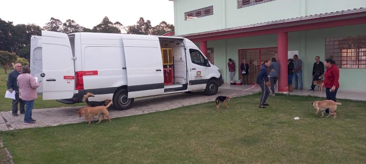 Mutirão de castração nos bairros já atendeu mais de 300 animais em Criciúma