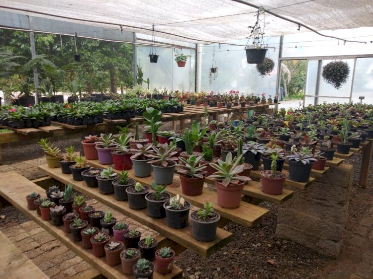 Horto Florestal  fortalece o contato com a natureza em Criciúma