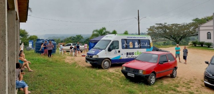 BusCão castra 26 animais no bairro em Içara