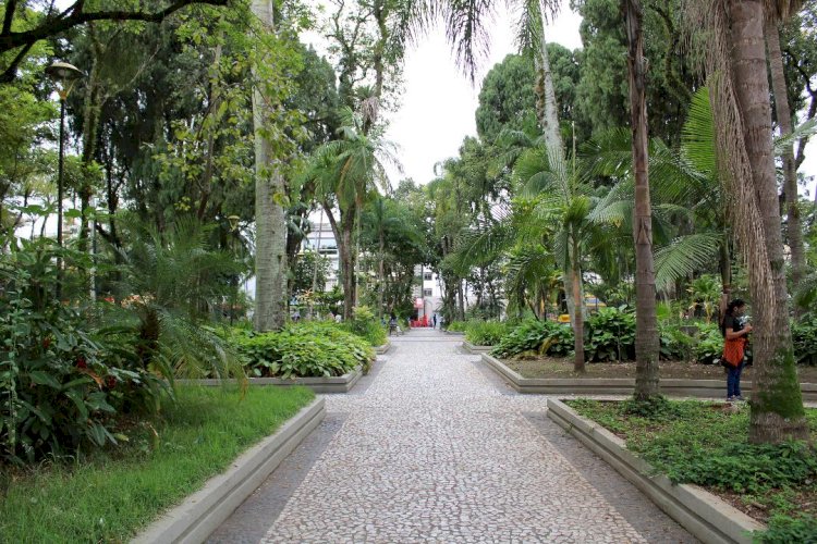 Ação em alusão ao Dia Internacional da Mulher ocorre na Praça Nereu Ramos