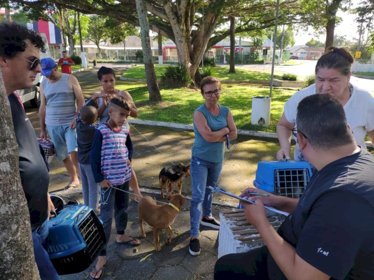 “Castração é a Solução”: mutirão da campanha ocorre no Parque das Nações