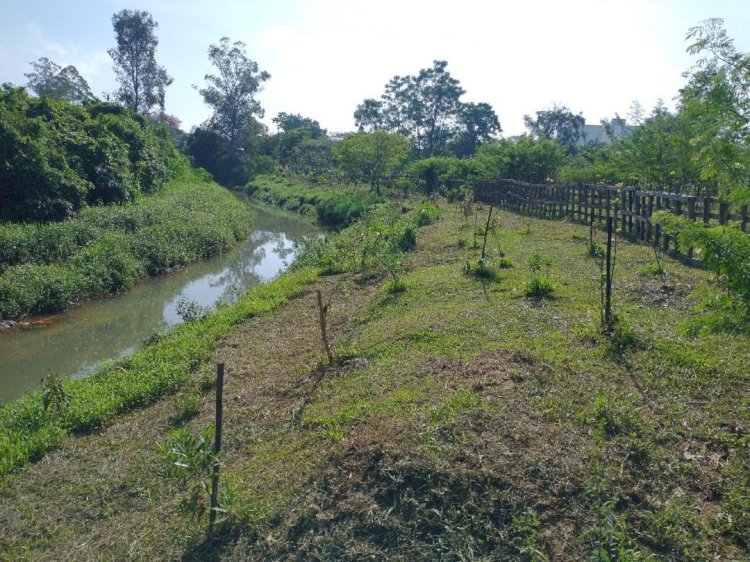 Lei que dispõe sobre o uso e ocupação das margens da bacia do Rio Criciúma é sancionada