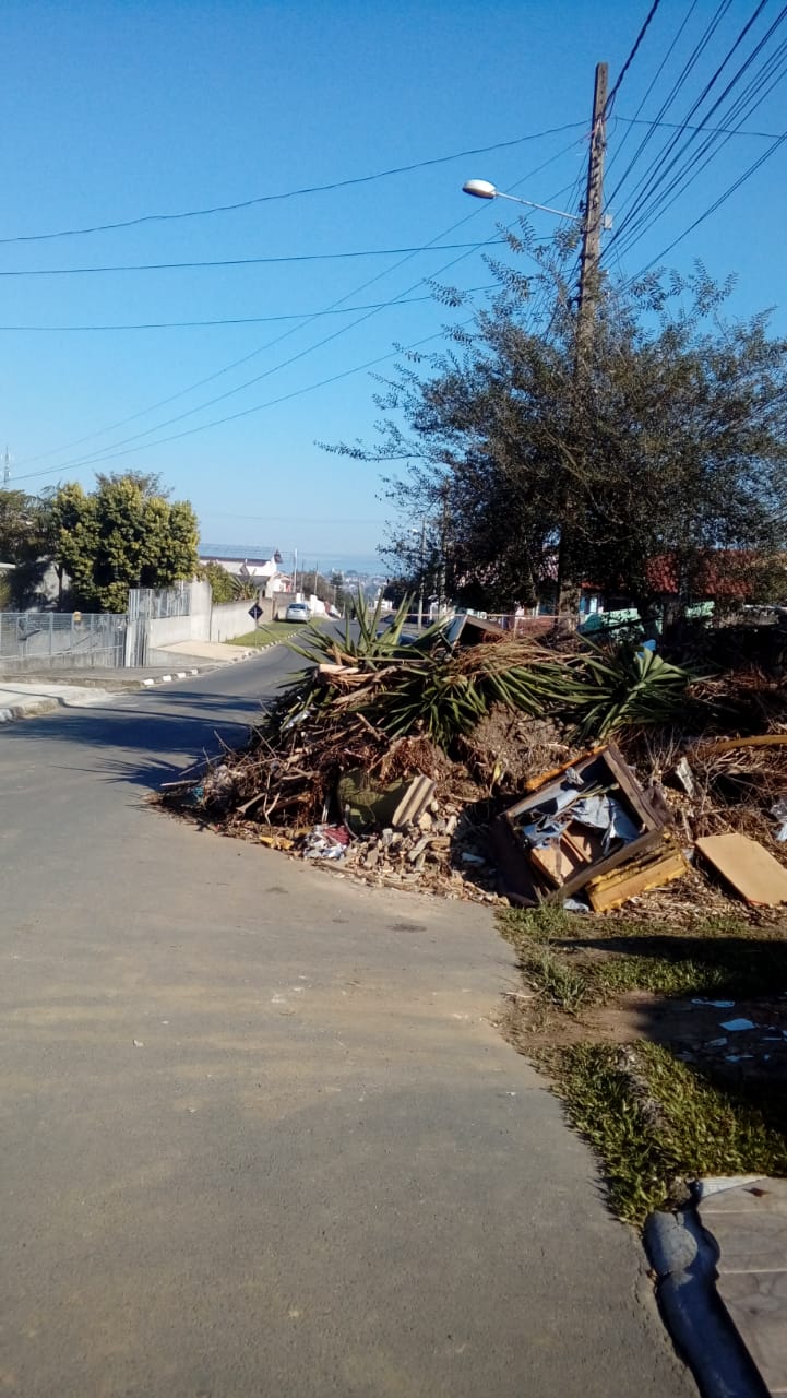 Limpeza de terrenos baldios é regularizada na câmara