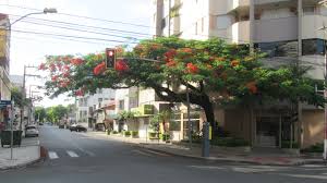 Vereadores aprovam lei que cria  Estacionamento na Avenida Getúlio Vargas, acesso à Praça Nereu Ramos