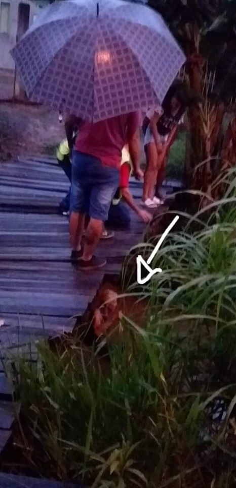Homem cai em rio após atravessar em passarela no Wosocris