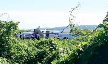 Avião com vacinas bate em jumento durante pouso em Ibotirama (BA)