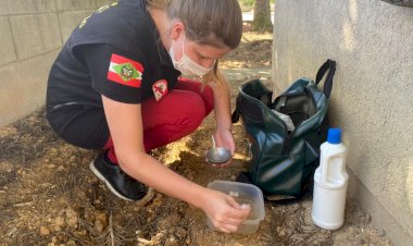 Vigilância  Epidemiológica identifica  foco de dengue em Cocal do Sul
