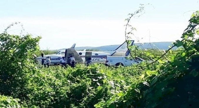 Avião com vacinas bate em jumento durante pouso em Ibotirama (BA)