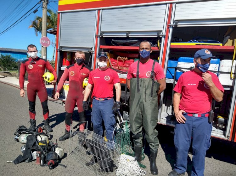 BOMBEIROS RESGATAM CACHORRO PRESO EM TUBULAÇÃO