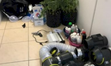 POLÍCIA MILITAR APREENDE DUPLA COM LABORATÓRIO DE MACONHA EM CRICIÚMA