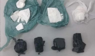 Polícia Militar usa Cão para encontrar drogas na região dos trilhos em Criciúma