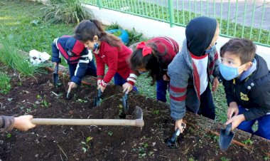 Alunos da Escola Padre Carlos Wecki plantam hortaliças em projeto ‘Assim é Mais Gostoso de Aprender’