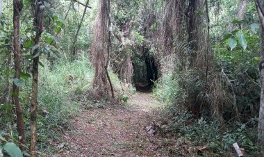 Famcri inicia Semana do Meio Ambiente neste sábado na Praça Nereu Ramos