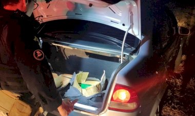 Operação Sentinela da Polícia Civil retira de circulação quase 50 kg de maconha