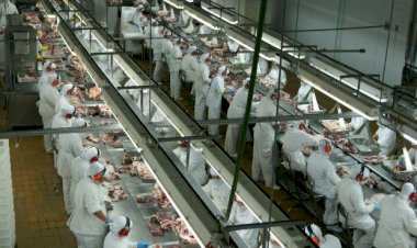 Santa Catarina retoma crescimento nas exportações de carne de frango em maio