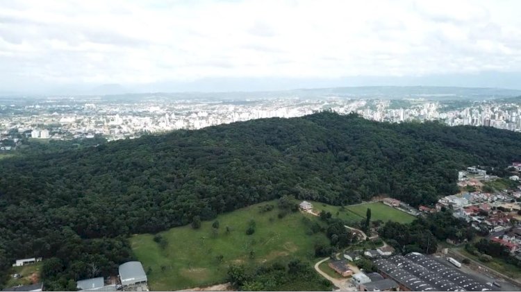 Movimento Salve o Morro do Céu promove ação na Praça Nereu Ramos