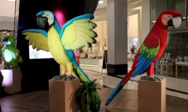 Museu de Zoologia da Unesc abre exposição em Araranguá