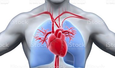 Eletrocardiograma: um aliado no diagnóstico das doenças cardíacas