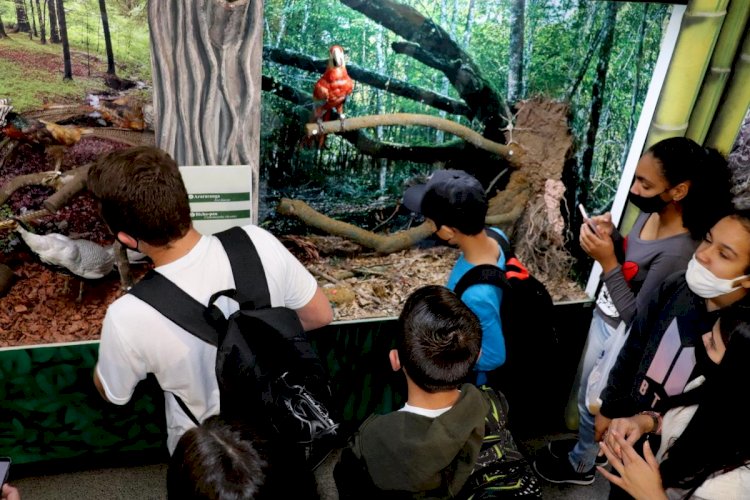 Museu de Zoologia da Unesc inaugura exposição em comemoração ao Dia das Aves