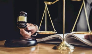 Casal acusado de administrar canil clandestino e maltratar animais seguirá preso