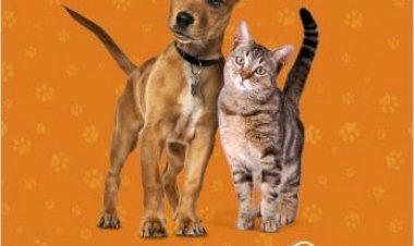 Angeloni e ONG Animal Ponto Com promovem feira de adoção de pets em Criciúma