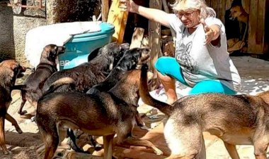 ONG de Criciúma precisa de doação de alimentos