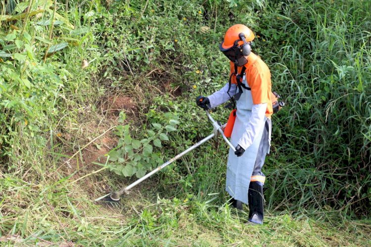 Programa Criciúma Cidade Limpa é lançado e realiza a primeira limpeza em terrenos baldios