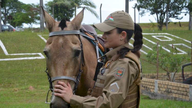 Pela primeira vez, uma policial mulher faz parte da Cavalaria do 9º BPM