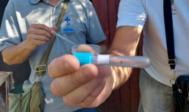 Içara confirma dois casos de dengue