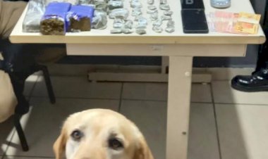 PM prende três Traficantes e mais de 2 kg de Maconha em Criciúma