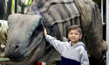 Museu de Zoologia da Unesc: referência em pesquisa, turismo e educação