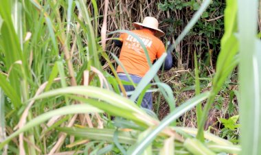 Programa Criciúma Cidade Limpa realizou a limpeza de 20 terrenos