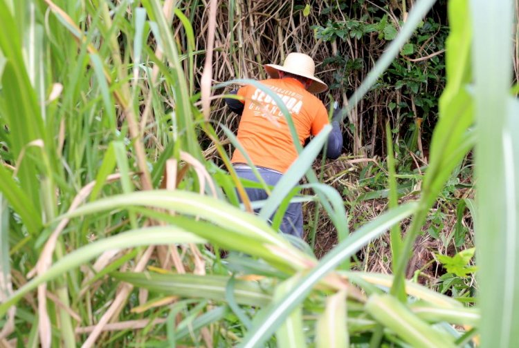 Programa Criciúma Cidade Limpa realizou a limpeza de 20 terrenos