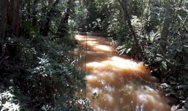 Mapeamento de nascentes do município é atualizado pela Diretoria de Meio Ambiente de Criciúma