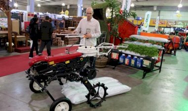 Tecnologia e inovação: AgroPonte gera conexão entre setores