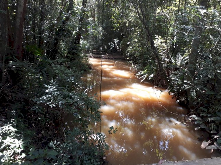 Mapeamento de nascentes do município é atualizado pela Diretoria de Meio Ambiente de Criciúma