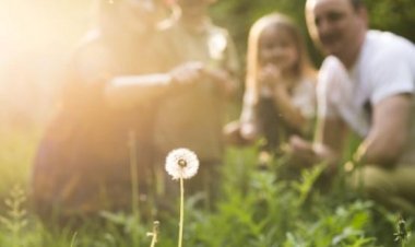 Casal inicia aproximação para adotar uma jovem e seu bebê: pais e avós ao mesmo tempo
