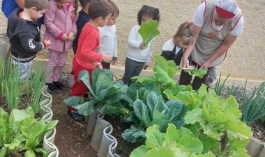 AFASC promove mais uma edição do concurso de hortas