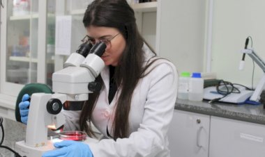 Programa de Pós-graduação em Ciências da Saúde da Unesc recebe nota máxima em avaliação nacional