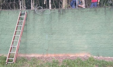 Animal cai em buraco de 3 metros e é salvo pelos bombeiros