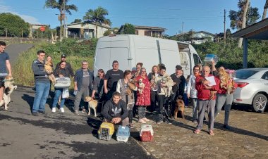 Em menos de um ano, mais de 1.800 castrações já foram realizadas em Criciúma
