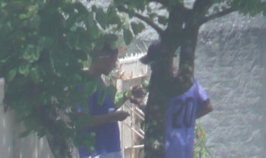 DIC de Criciúma prende traficante em flagrante