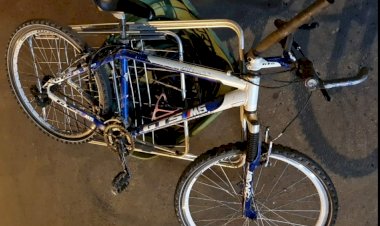 GATUNO É PRESO 14 VEZES EM MENOS DE 2 ANOS