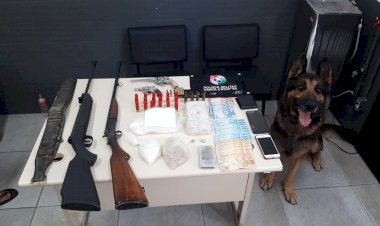Cão de faro ajuda PM a localizar drogas e armas em Criciúma